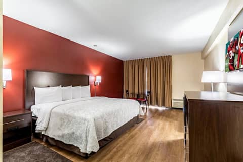 Red Roof Inn PLUS & Suites Houston - IAH Airport SW — hotel room