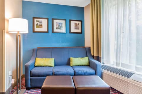 Comfort Suites Fairview Heights Saint Louis — photo 6