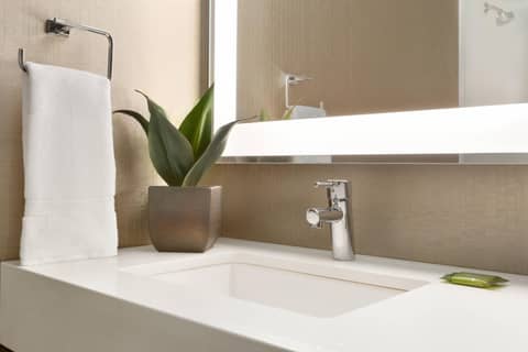 Skyline Hotel Detroit Airport, SureStay Collection by Best Western — bathroom