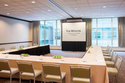 The Westin Pittsburgh — photo 9