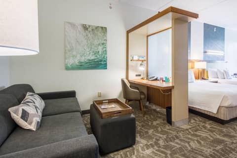 SpringHill Suites Tampa North/Tampa Palms — photo 6