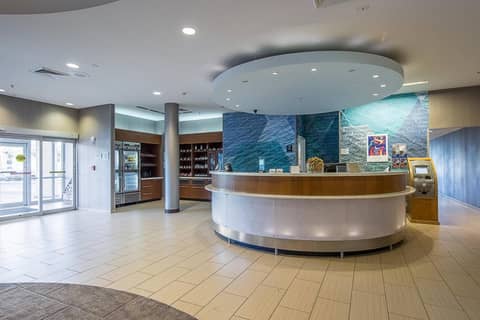 SpringHill Suites Tampa North/Tampa Palms — photo 8