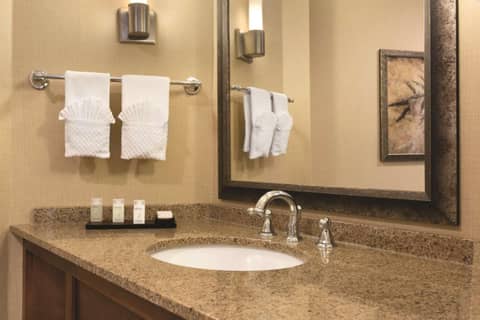 Embassy Suites by Hilton Minneapolis Bloomington Edina — photo 2