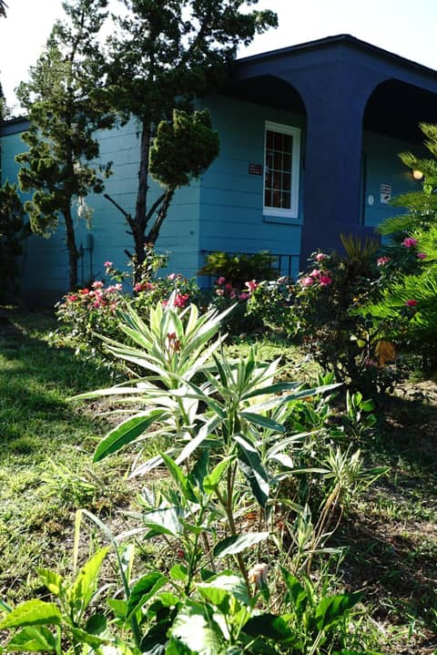 INN on 17 — photo 3