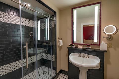 Dauphine Orleans Hotel — photo 8