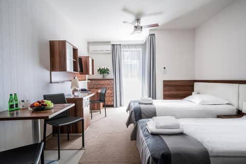 Classic Studio Apartment with balcony — the supplier's photograph