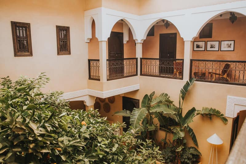 Riad l'Oiseau du Paradis