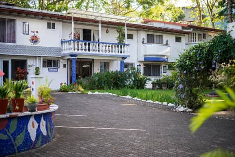 Hotel Ave del Paraíso — photo 3
