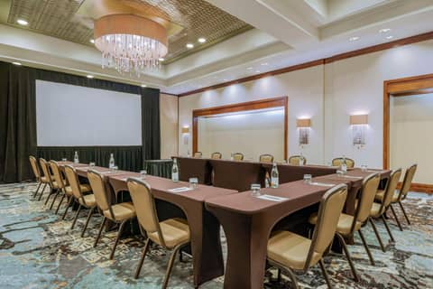 Embassy Suites Houston - Downtown — photo 4