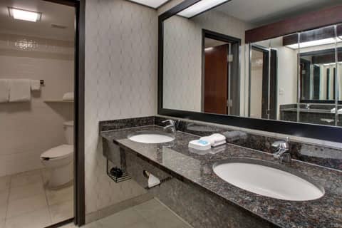 Drury Inn & Suites Houston Galleria — photo 9