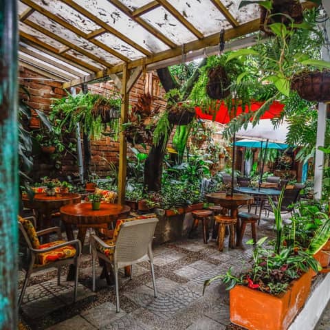 The Garden Lleras 10 — photo 6