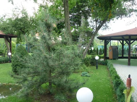 Hotel Baneasa Parc — photo 9