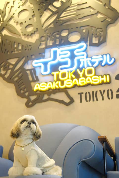 ICI HOTEL Asakusabashi — photo 3