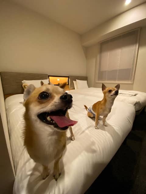 ICI HOTEL Asakusabashi — photo 7