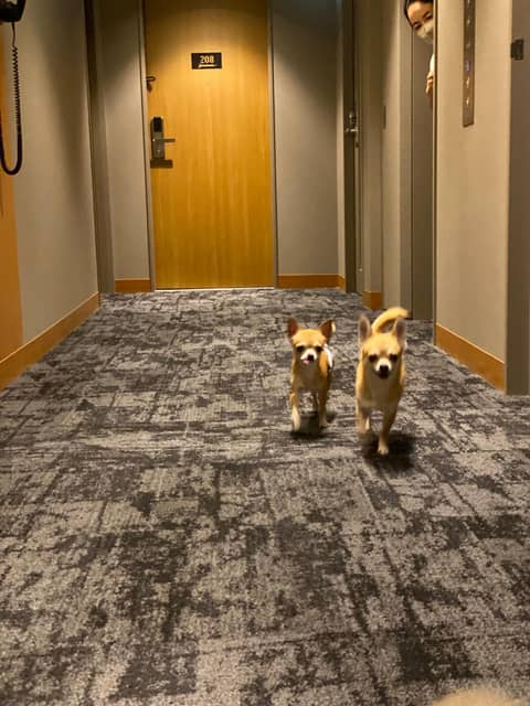 ICI HOTEL Asakusabashi — photo 9