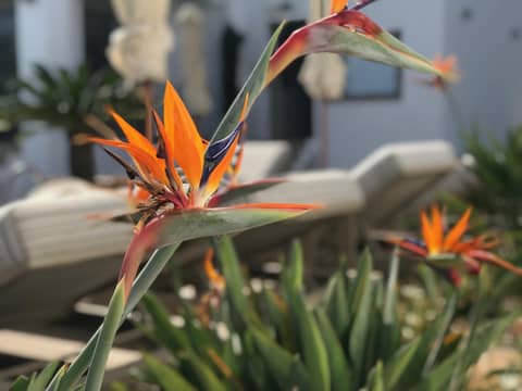 Creta Blue Boutique Hotel — photo 7
