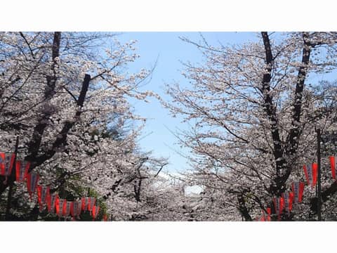 Hotel Sardonyx Ueno — photo 9