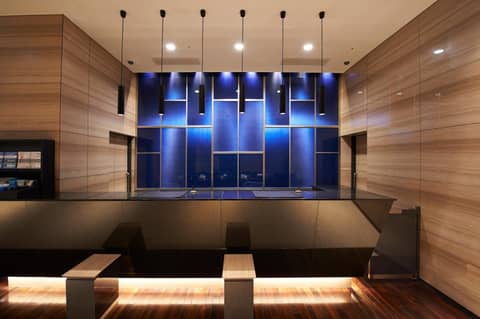 Sotetsu Fresa Inn Tokyo Kanda — recepcion & lobby