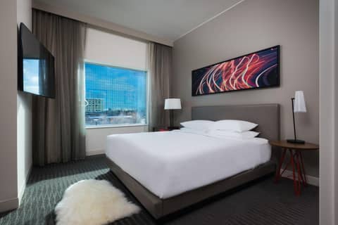 Hyatt Regency Bloomington - Minneapolis — hotel room