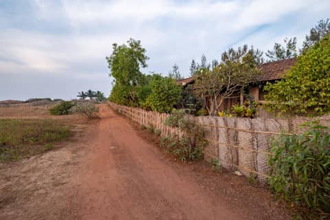 The Artist Cottages — photo 7