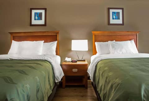 Quality Inn & Suites University Area — photo 7