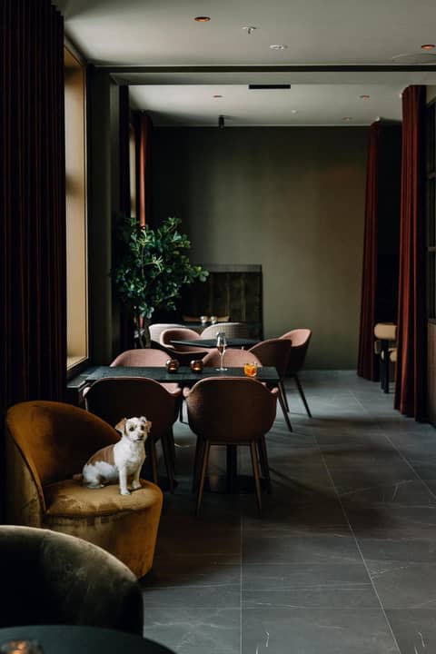 Saga Hotel Oslo, WorldHotels Crafted — photo 8