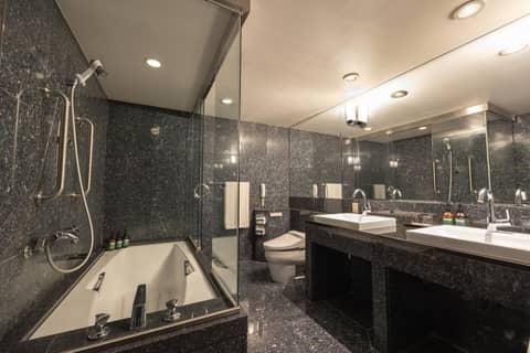 ANA Crowne Plaza Fukuoka by IHG — photo 7
