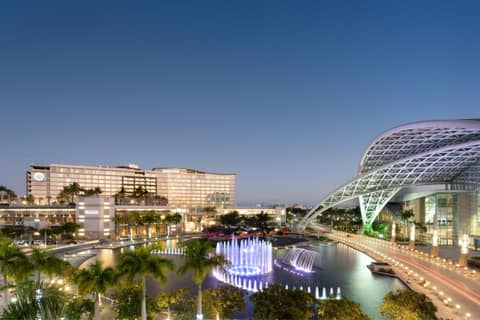 Sheraton Puerto Rico Resort & Casino — photo 6