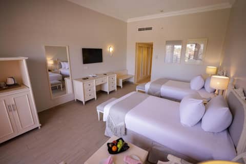 Calimera Blend Paradise — photo 5
