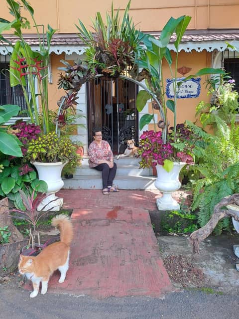 Afonso Guest House - Fontainhas — photo 3