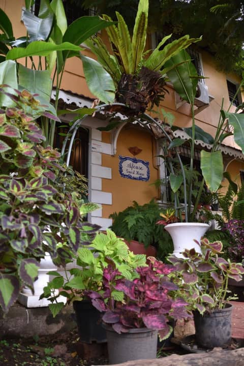 Afonso Guest House - Fontainhas — photo 5