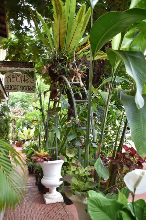 Afonso Guest House - Fontainhas — photo 6