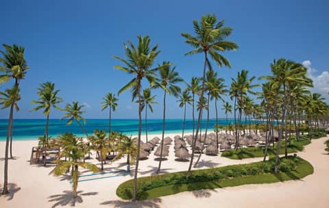 Dreams Royal Beach Punta Cana - All Inclusive — photo 8