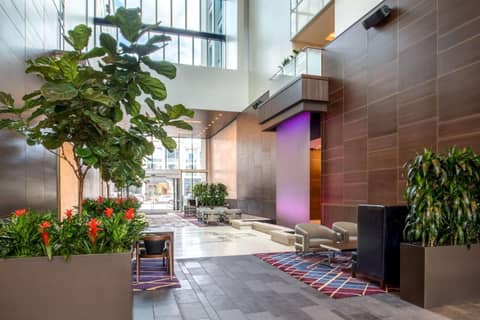 Embassy Suites By Hilton Seattle Downtown Pioneer Square — photo 4