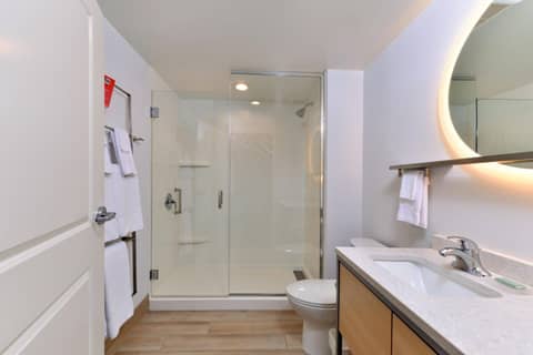 TownePlace Suites by Marriott Asheville Downtown — bathroom