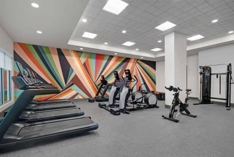 Hilton Garden Inn Houston Medical Center, TX — photo 5