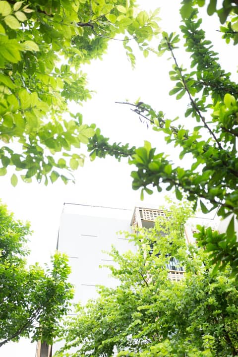 SHAN Villas Sukhumvit ฌานวิลล่า สุขุมวิท — photo 6