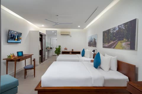 Elysium Suite — photo 7