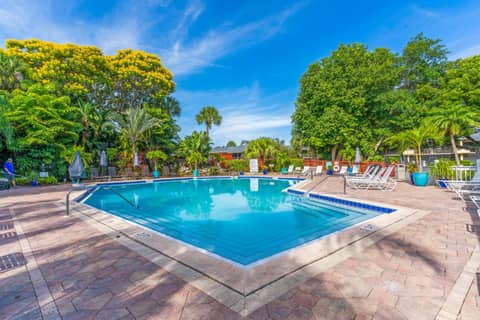 Park Shore Resort — recepcion & lobby