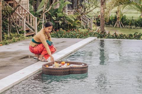 Aswanaya Villas Ubud — photo 8