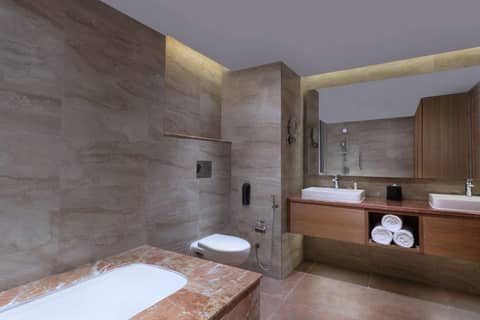 DoubleTree By Hilton Jaipur Amer — photo 3