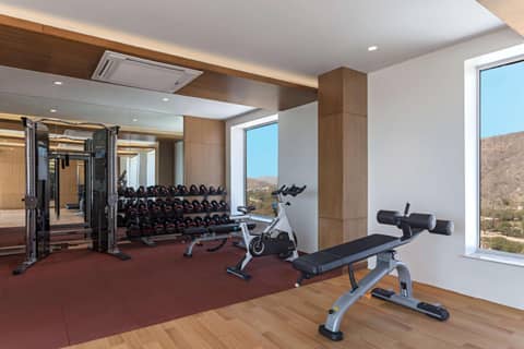 DoubleTree By Hilton Jaipur Amer — photo 4
