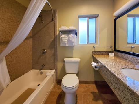Quality Inn & Suites Anaheim at the Park — photo 2
