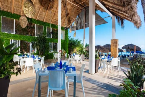 Blue Chairs Beachfront Resort Puerto Vallarta - Adults Only — dining