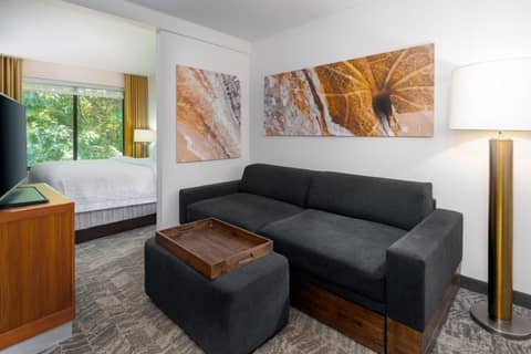 SpringHill Suites Asheville — photo 9