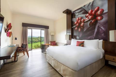 Costa Rica Marriott Hotel Hacienda Belen — photo 8