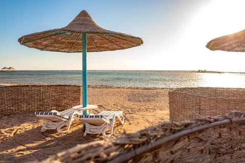 TUI MAGIC LIFE Redsina Sharm El Sheikh — photo 8