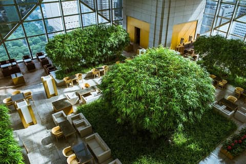 Park Hyatt Tokyo — photo 8