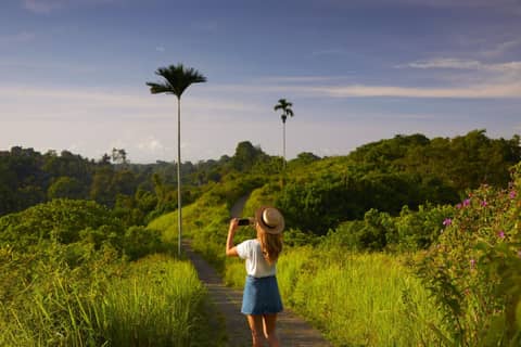 Element by Marriott Bali Ubud — photo 6