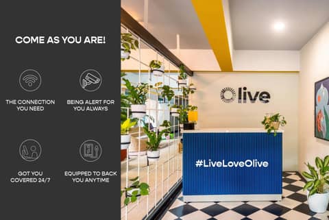 Olive Hotel Magrath by Embassy Group — photo 3